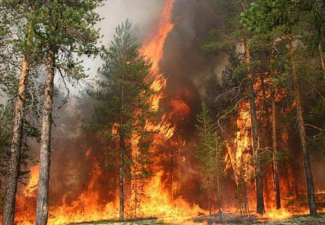 Аномальная жара ожидается до конца недели в Волгодонске