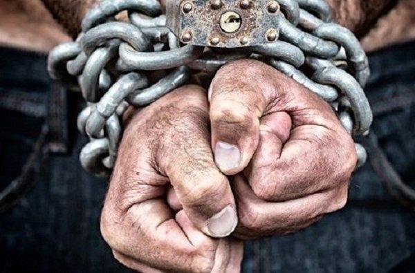 Подпольную колонию рабов держали на Дону