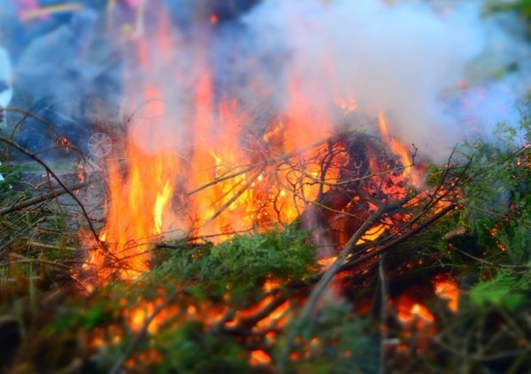 Пожароопасность 5-го класса объявлена в Волгодонске