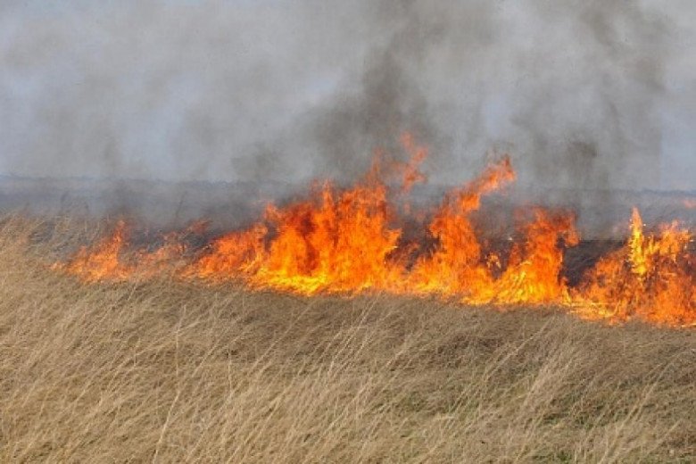 Еще один ландшафтный пожар в Волгодонске
