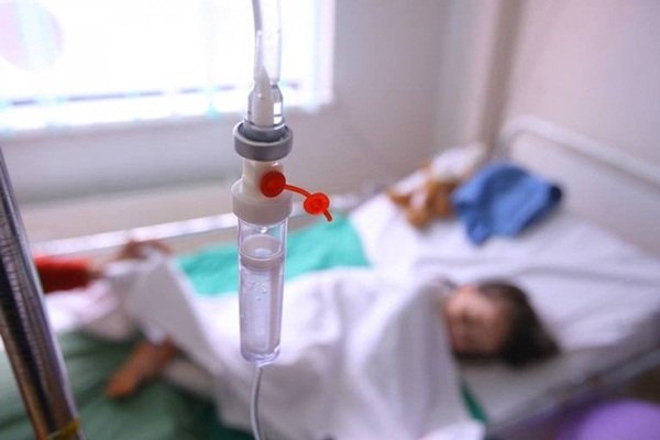В Волгодонске школьники попали в реанимацию, отравившись плодами растения