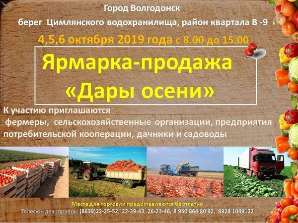 В Волгодонске пройдет трехдневная ярмарка «Дары осени»