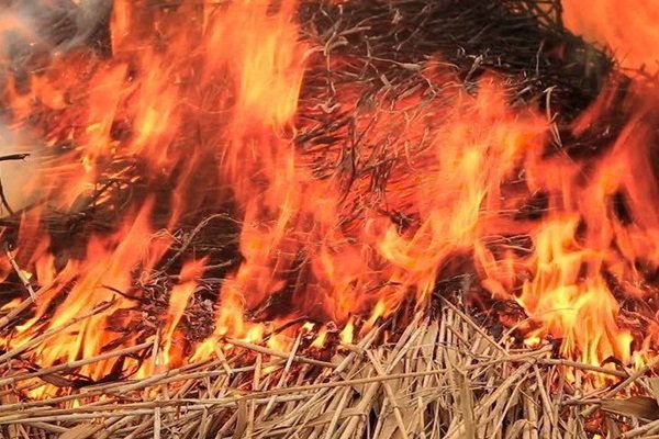 В Семикаракорском районе сгорело сено