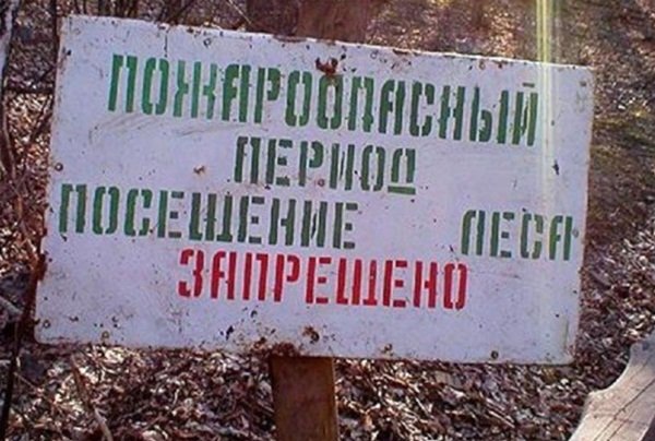 Жителям Волгодонска сняли ограничения на пребывание в лесу