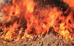 В Семикаракорском районе сгорело сено