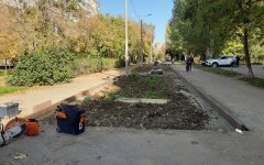 Бульвар Великой Победы в Волгодонске начали благоустраивать Бульвар Великой Победы в Волгодонске начали благоустраивать