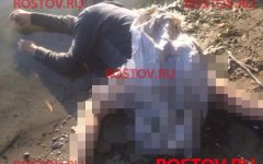 Труп пожилого мужчины выловили из реки на Дону Труп пожилого мужчины выловили из реки на Дону