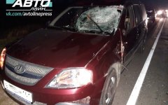 Водитель «Ларгуса» сбил корову в Волгодонском районе