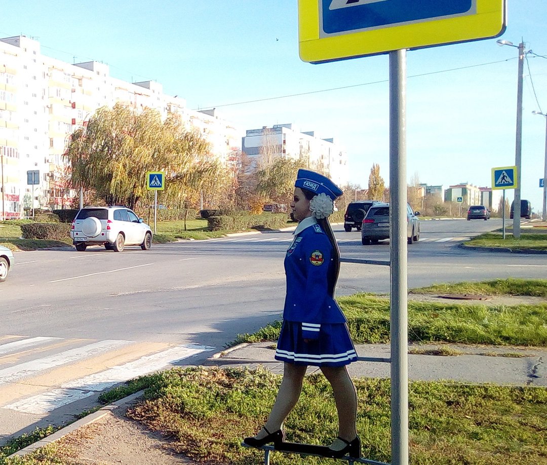 «Картонные пешеходы» добрались до Волгодонска