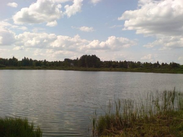 Жителя поселка Орловский лишили земельного участка
