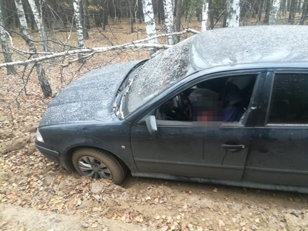 Трупы молодой пары из Волгодонска нашли в машине под Питером