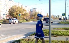 «Картонные пешеходы» добрались до Волгодонска