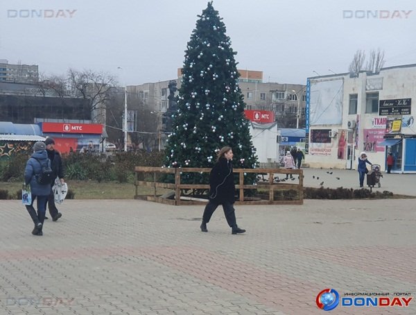 В центре нового города в Волгодонске появилась новогодняя елка