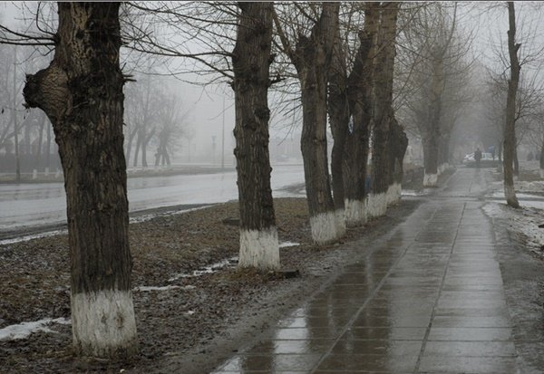Предстоящая рабочая неделя будет теплой и облачной в Волгодонске