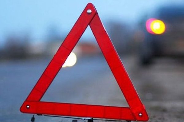 Водитель большегруза погиб, врезавшись в дерево на трассе М-4 «Дон»