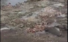 За самостоятельный ремонт дороги жителю Таганрога грозит штраф: видео