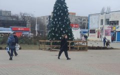 В центре нового города в Волгодонске появилась новогодняя елка В центре нового города в Волгодонске появилась новогодняя елка