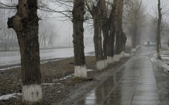 Предстоящая рабочая неделя будет теплой и облачной в Волгодонске Предстоящая рабочая неделя будет теплой и облачной в Волгодонске