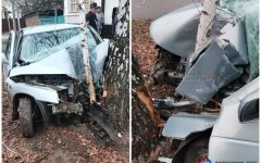 Двое школьников врезались в дерево на машине в донском регионе Двое школьников врезались в дерево на машине в донском регионе