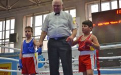 Возрожденная федерация бокса в Волгодонске провела масштабный турнир Возрожденная федерация бокса в Волгодонске провела масштабный турнир