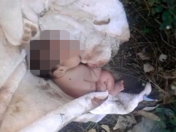 Девушка, родившая и бросившая младенца умирать, пойдет под суд в Морозовском районе