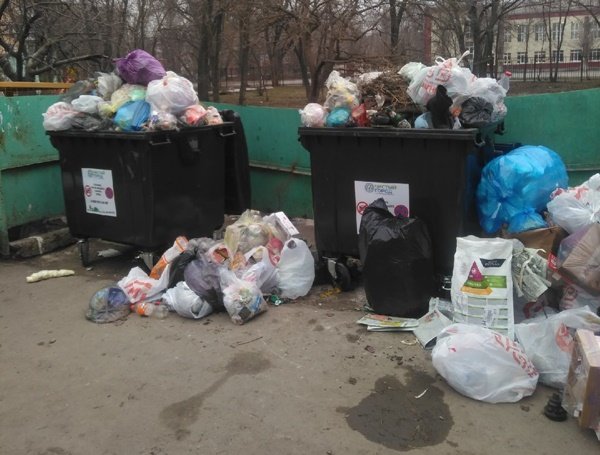 Переполненные мусорки и игнорирование региональным оператором беспокоят жителей Волгодонска