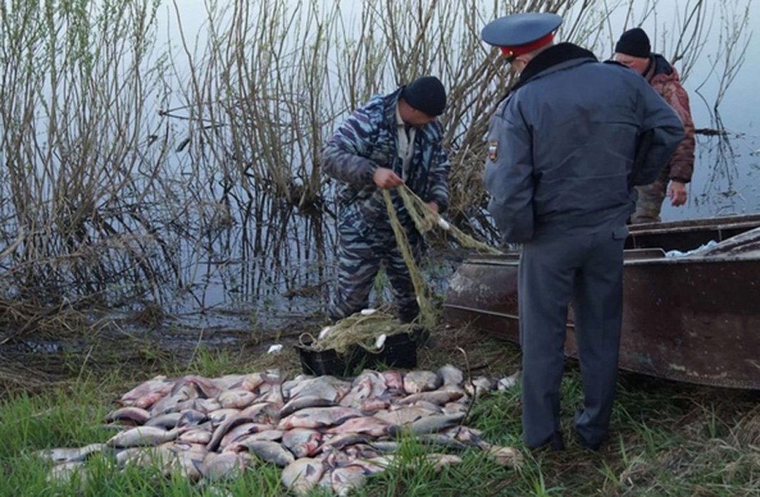 В Ростовской области запретили вылов многих речных рыб