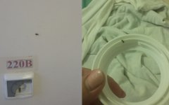 Жительница Волгодонска недовольна состоянием палат в детской инфекционной больнице