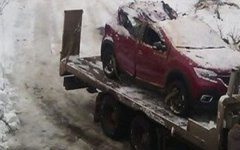 Упавшее в Волгодонске дерево повредило иномарку