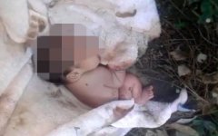 Девушка, родившая и бросившая младенца умирать, пойдет под суд в Морозовском районе Девушка, родившая и бросившая младенца умирать, пойдет под суд в Морозовском районе