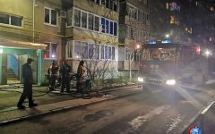 Кошки и собаки чуть не сгорели при пожаре в квартире в Волгодонске