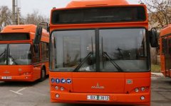 Стало известно расписание автобусов во время Крещенских купаний в Волгодонске