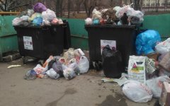 Переполненные мусорки и игнорирование региональным оператором беспокоят жителей Волгодонска