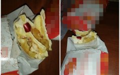 Волгодонец нашел в шаурме обломанный искусственный ноготь Волгодонец нашел в шаурме обломанный искусственный ноготь