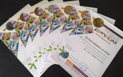 Всероссийский художественный конкурс принес талантам из Волгодонска множество наград