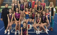 Гимнастки из Волгодонска привезли 14 наград с турнира в Ессентуках Гимнастки из Волгодонска привезли 14 наград с турнира в Ессентуках