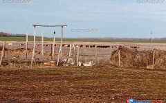У жителей Цимлянского района отобрали единственное место для выпаса скота У жителей Цимлянского района отобрали единственное место для выпаса скота
