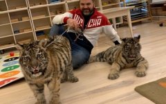 Известный дрессировщик диких кошек Михаил Зарецкий приехал в Волгодонск на отдых Известный дрессировщик диких кошек Михаил Зарецкий приехал в Волгодонск на отдых