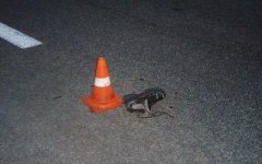 60-летний мужчина погиб под колесами микроавтобуса на трассе Ростов-Волгодонск