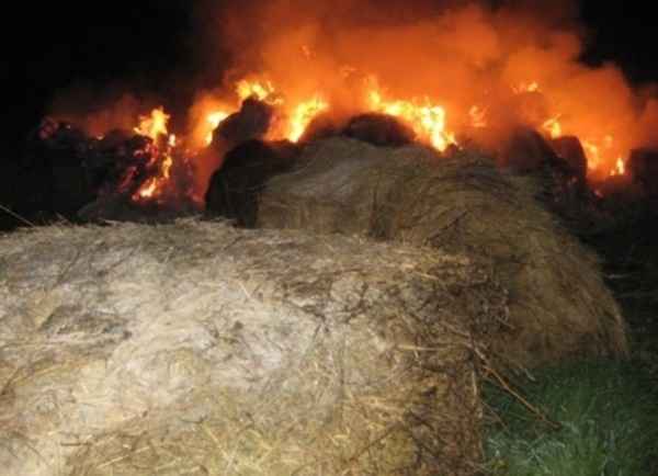 В СНТ «Летний сад» в Волгодонске произошел очередной пожар