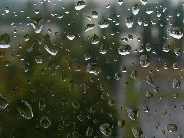 На выходных в Волгодонске ожидается дождь и прохлада