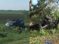 Подробности смертельного ДТП с БМВ на трассе Ростов-Волгодонск, рассказали свидетели происшествия Подробности смертельного ДТП с БМВ на трассе Ростов-Волгодонск, рассказали свидетели происшествия