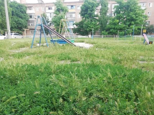 «Трава по колено и мусорка рядом с детской площадкой»: волгодончанка жалуется на состояние двора