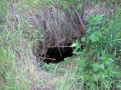 На Дону 5-летний мальчик упал в яму и сломал ноги