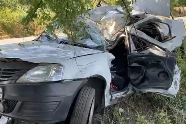 Школьник погиб, врезавшись в дерево за рулем «Рено Логан» на Дону