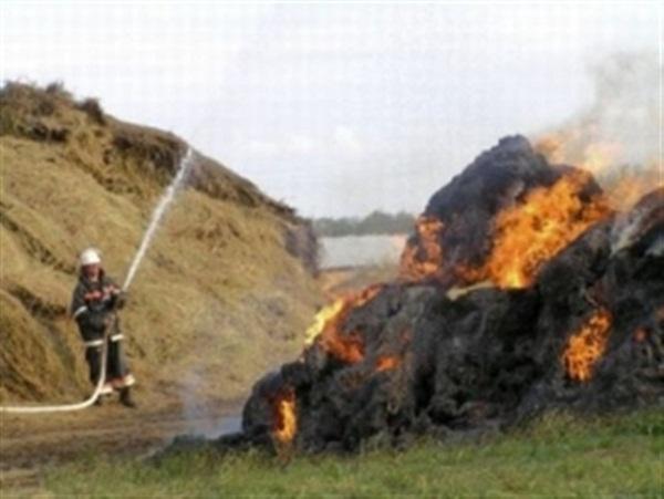 50 квадратных метров сена сгорело в поселке Зимовники