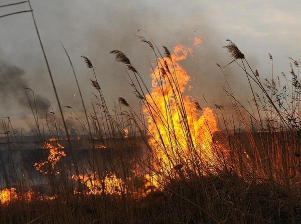 МЧС предупреждает о высокой пожароопасности в Волгодонске