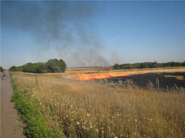 В Волгодонске сохраняется высокий уровень пожароопасности