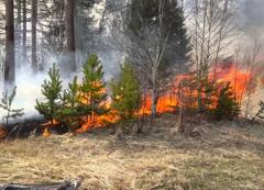 Высокий уровень пожароопасности сохранится в Волгодонске в ближайшие дни
