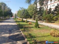 «Нас это абсолютно не устраивает»: глава администрации Волгодонска проинспектировал засохшие посадки на БВП